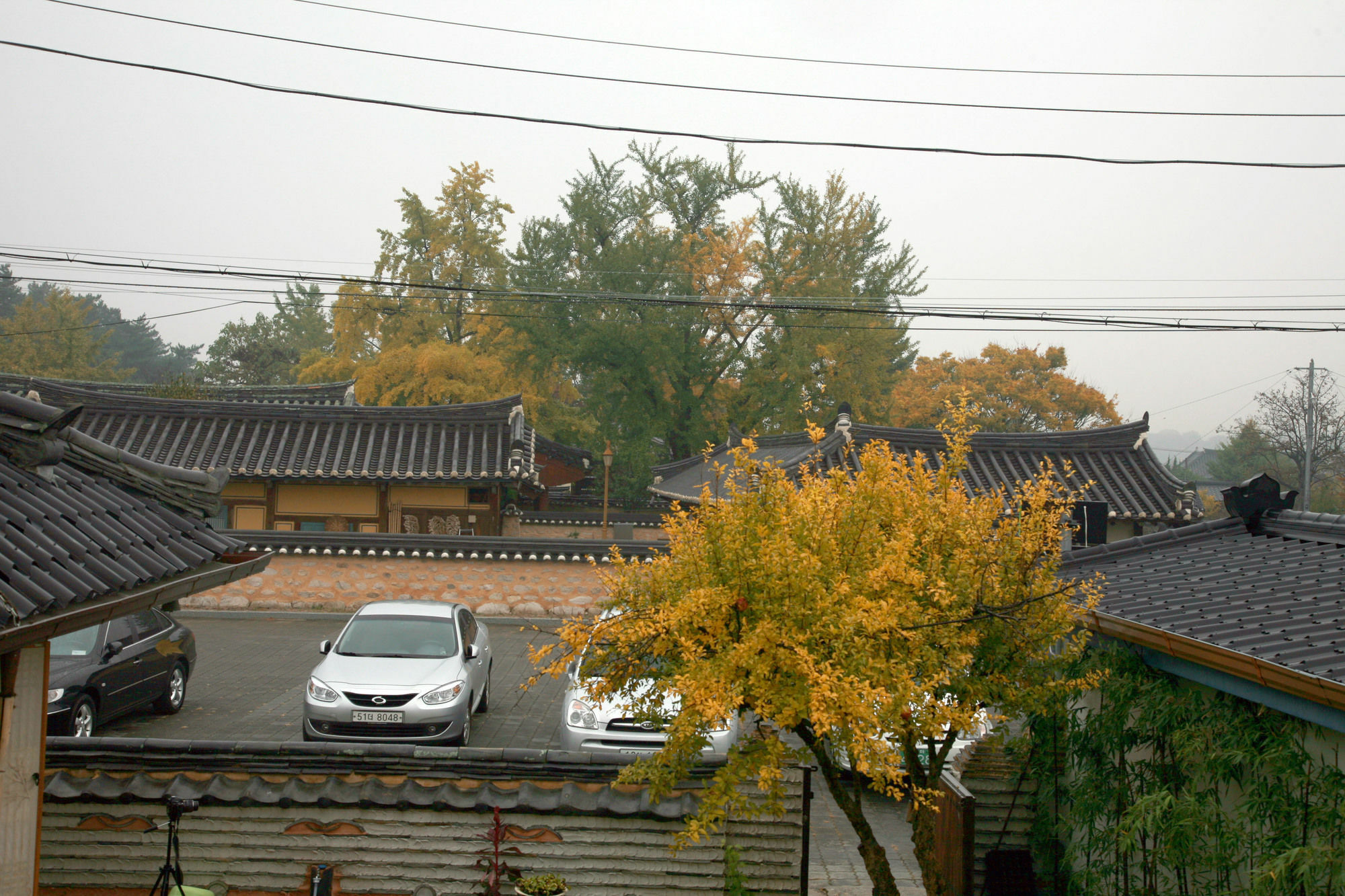 Floral Space Hanok Guesthouse Gyeongju Extérieur photo