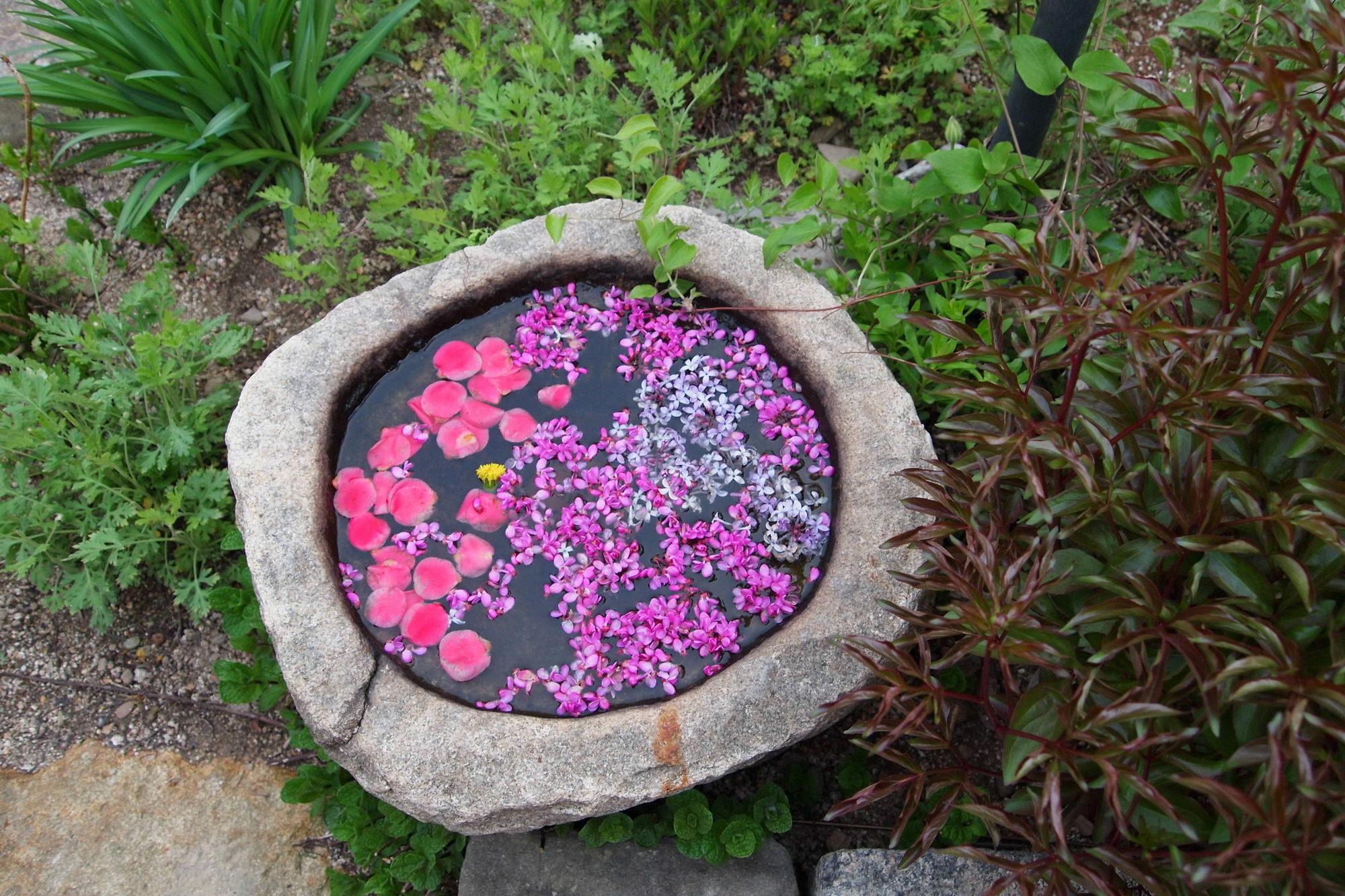 Floral Space Hanok Guesthouse Gyeongju Extérieur photo