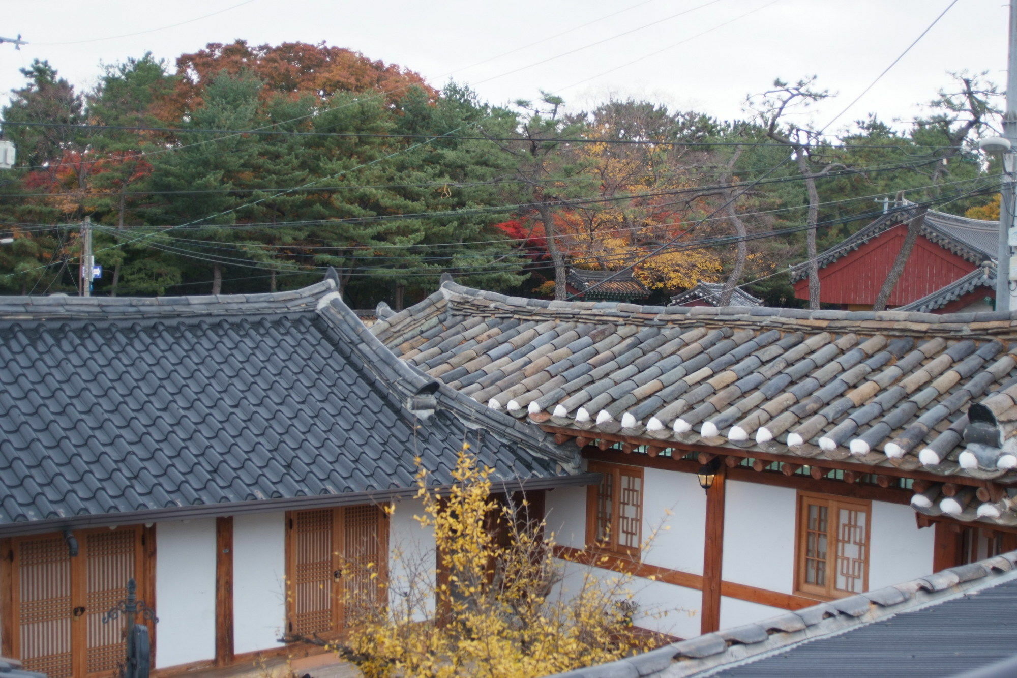 Floral Space Hanok Guesthouse Gyeongju Extérieur photo